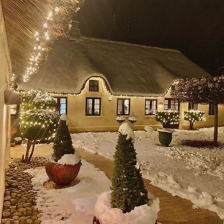 Ferienwohnung Mindedalen - Idyl Taet Pa Alt Og Helt I Fred Billum Exterior foto