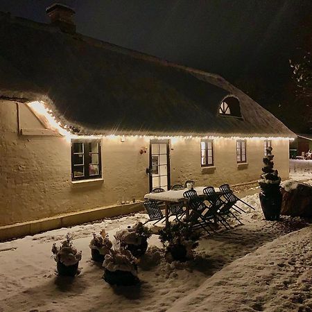 Ferienwohnung Mindedalen - Idyl Taet Pa Alt Og Helt I Fred Billum Exterior foto