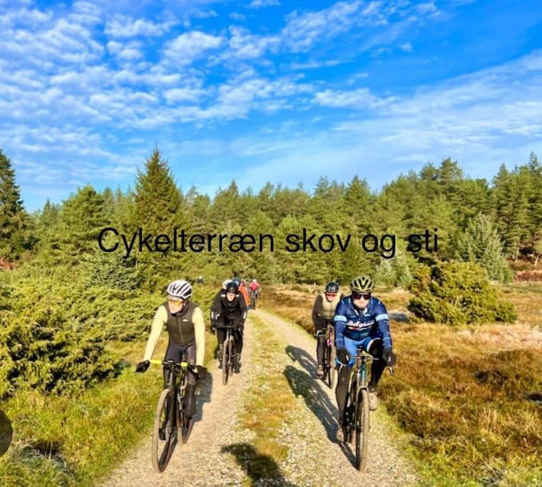 Ferienwohnung Mindedalen - Idyl Taet Pa Alt Og Helt I Fred Billum Exterior foto