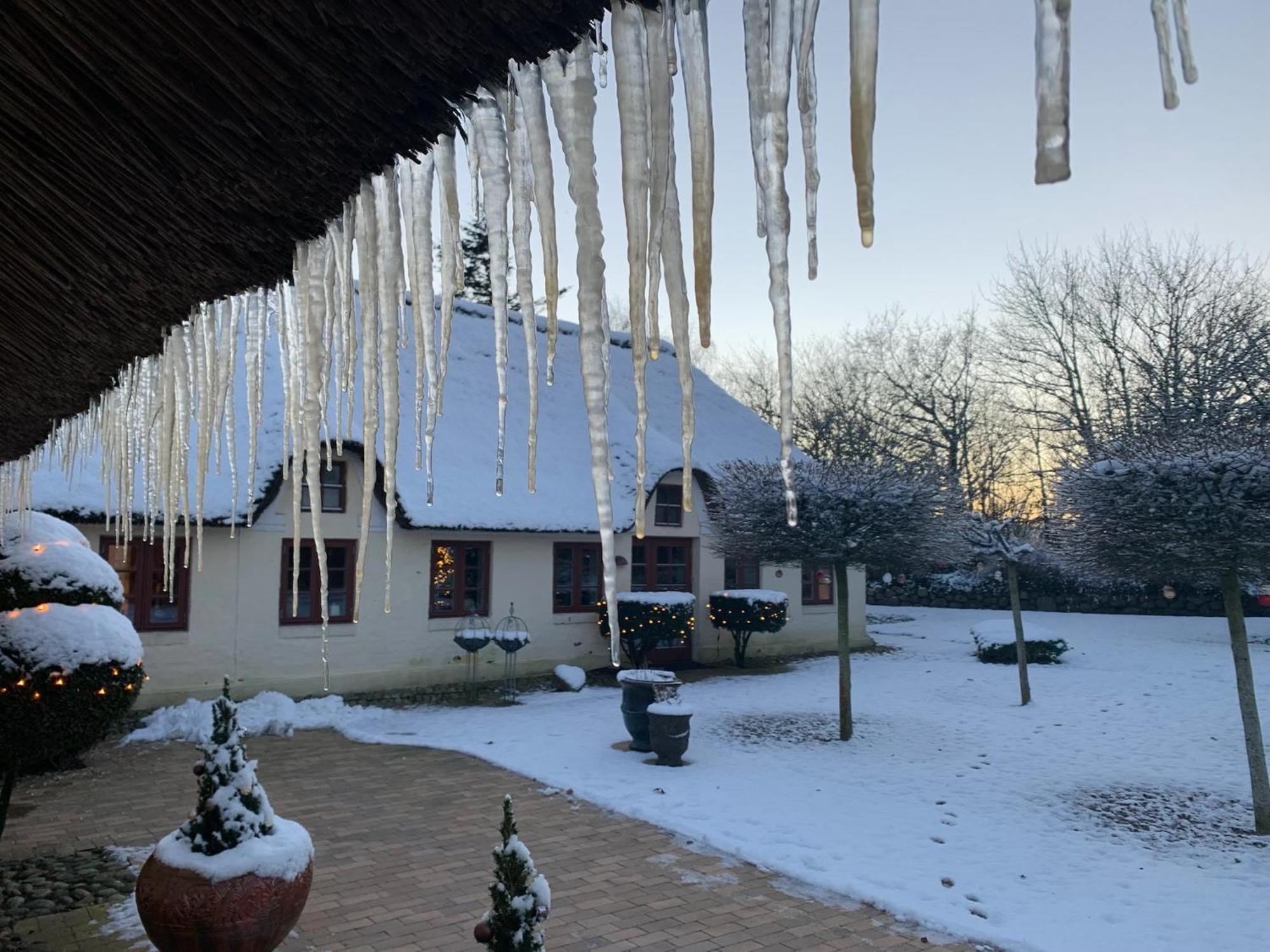 Ferienwohnung Mindedalen - Idyl Taet Pa Alt Og Helt I Fred Billum Exterior foto