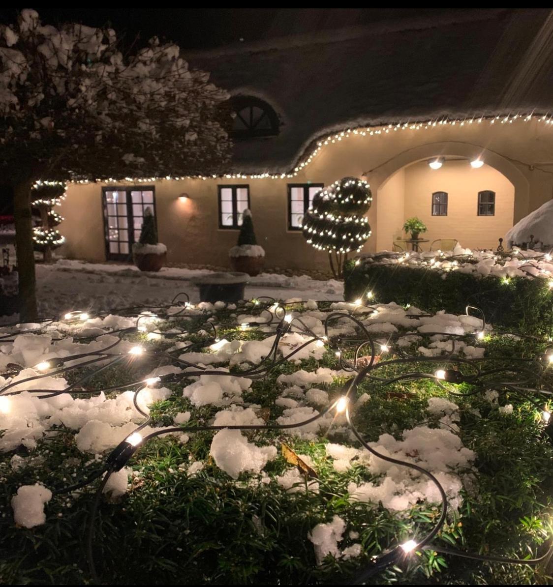 Ferienwohnung Mindedalen - Idyl Taet Pa Alt Og Helt I Fred Billum Exterior foto