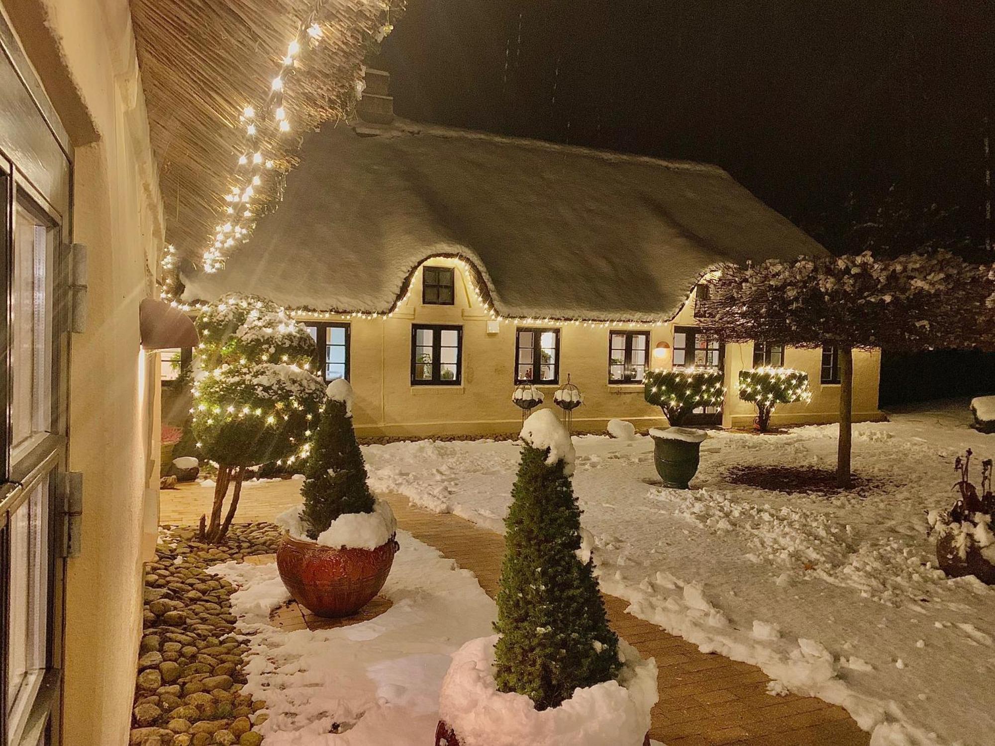 Ferienwohnung Mindedalen - Idyl Taet Pa Alt Og Helt I Fred Billum Exterior foto